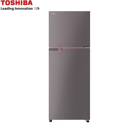Tủ lạnh Toshiba GR-T39VUBZ(DS) 330 lít inverter